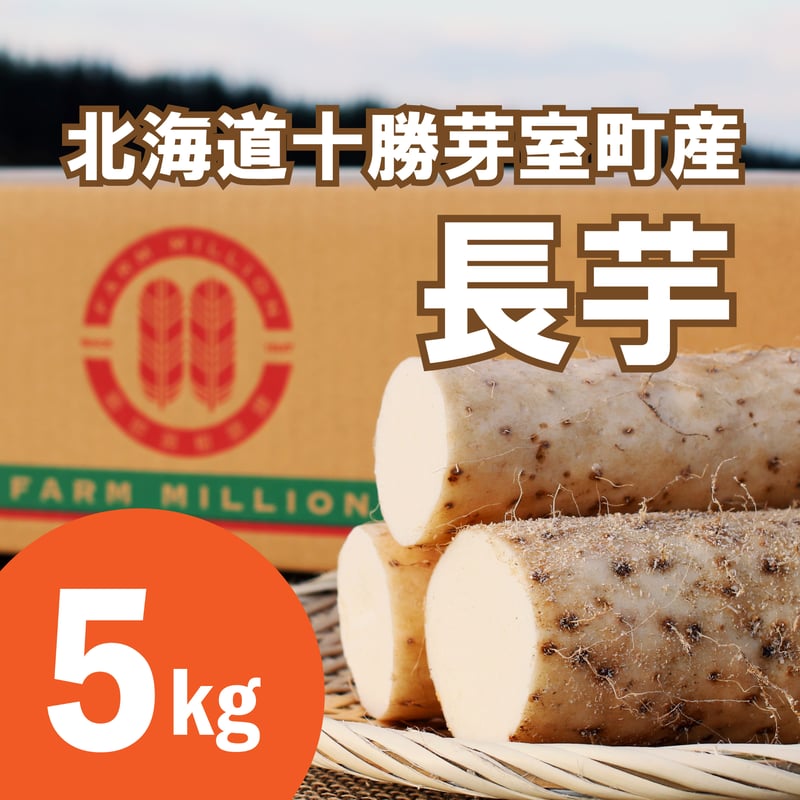 北海道十勝芽室町産〉長芋 5キロ | FARM MILLION STORE