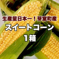 【8月中旬まで順次発送】スイートコーン1箱(13本）