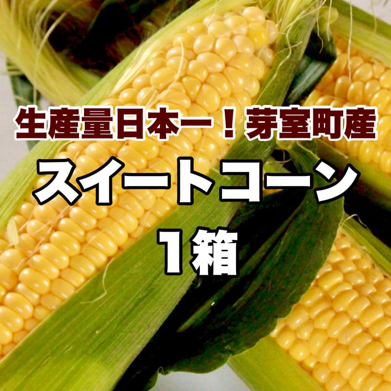 先行予約】【8月中旬まで順次発送】スイートコーン1箱(13本） | FARM