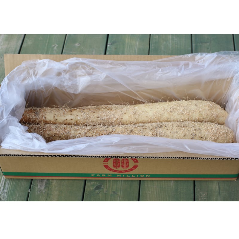 長いも　10kg 岩手県八幡平市産 北海道十勝芽室町産〉長芋 10キロ | FARM MILLION STORE