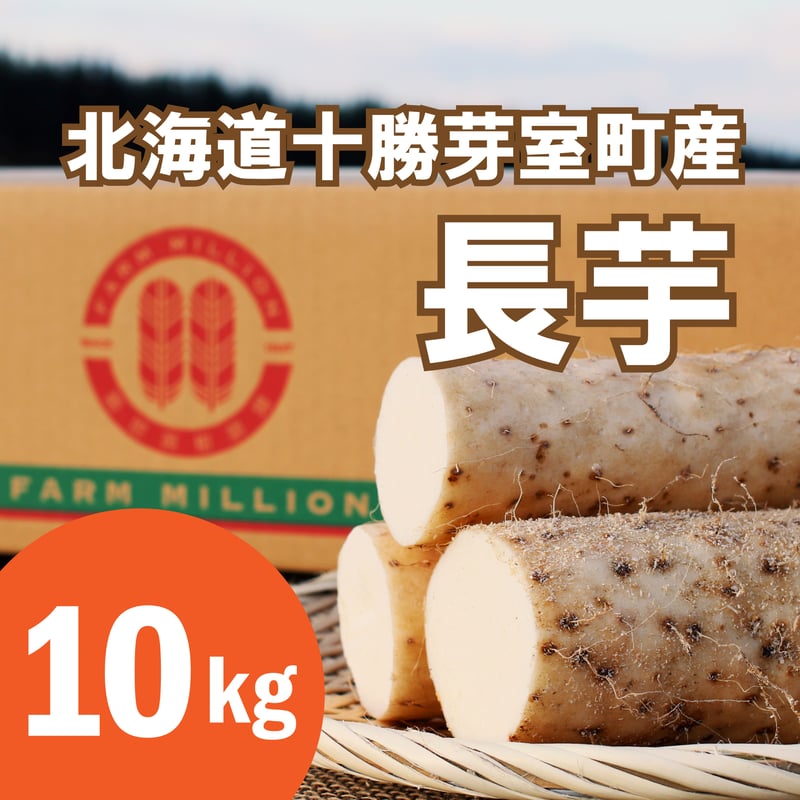 北海道十勝芽室町産〉長芋 10キロ | FARM MILLION STORE