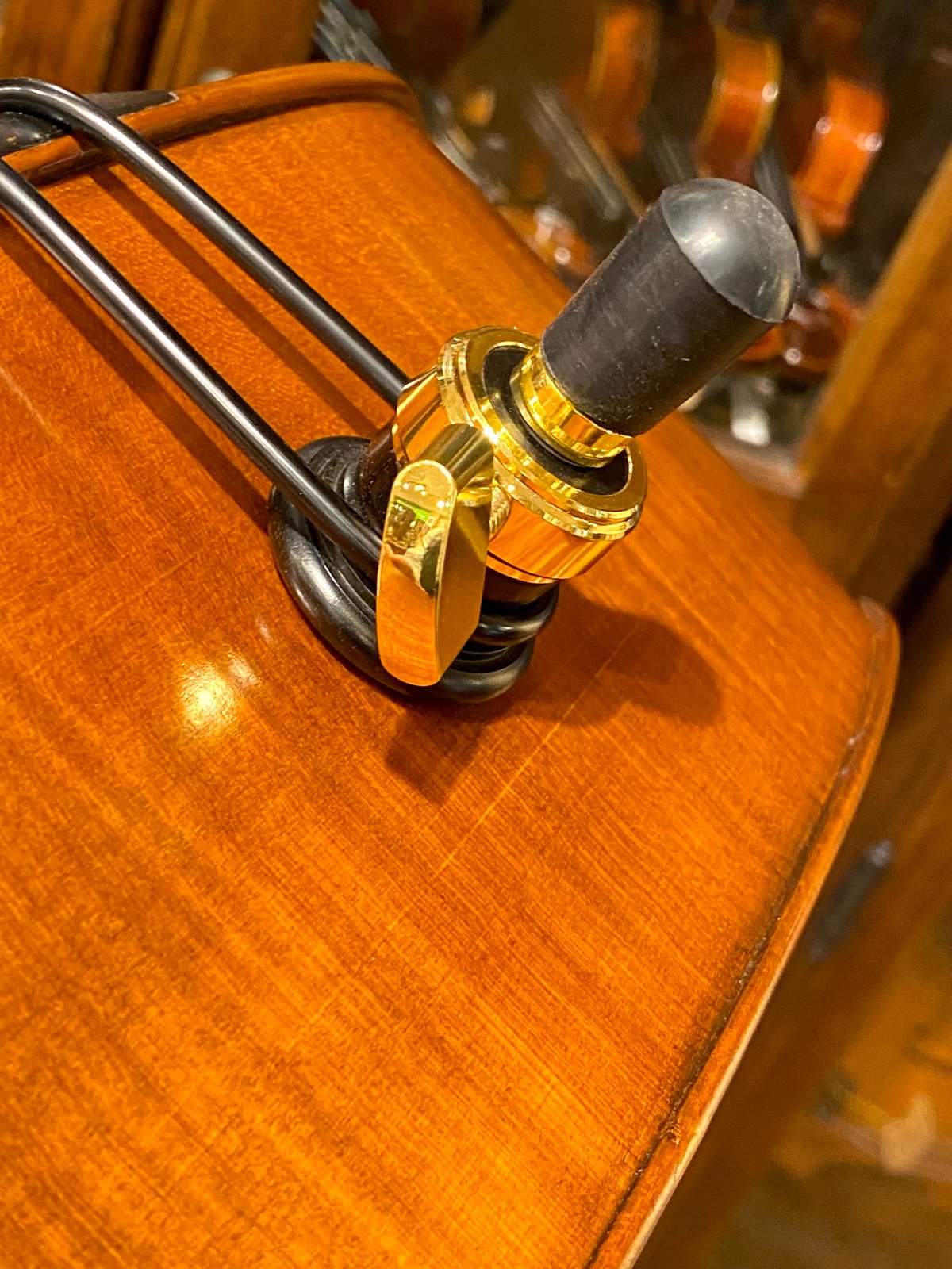チェロセット】☆新入生応援☆NICOLO SANTI ニコロ・サンティ