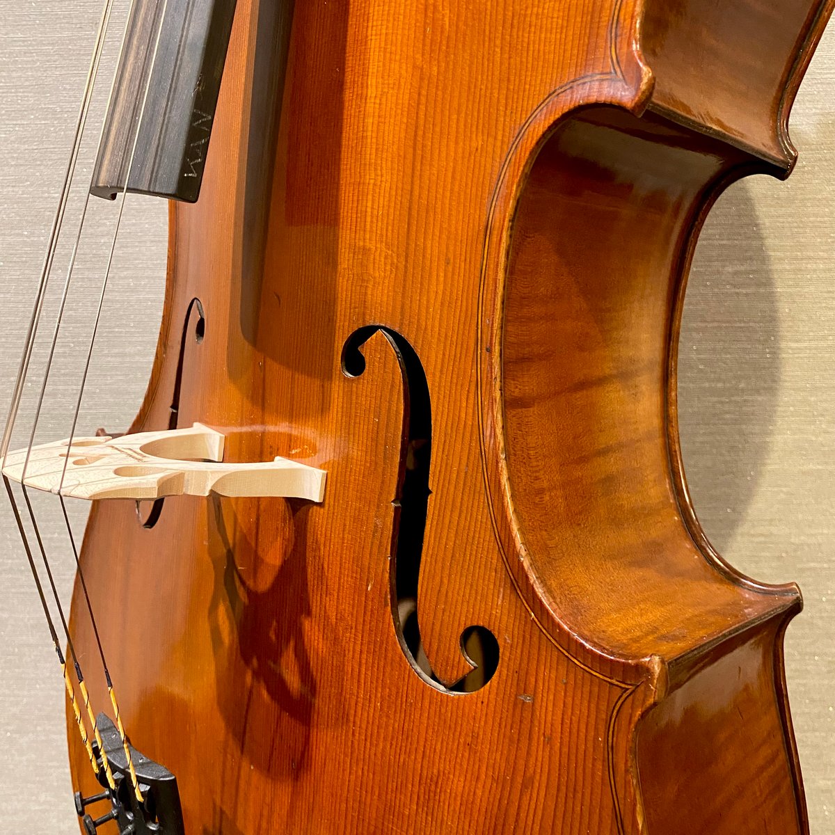 オールドチェロ】MAX Krauß,Rosengasse 1950c 鑑定書つき | 国際 オールドチェロ】MAX Krauß,Rosengasse 1950c 鑑定書つき | 国際