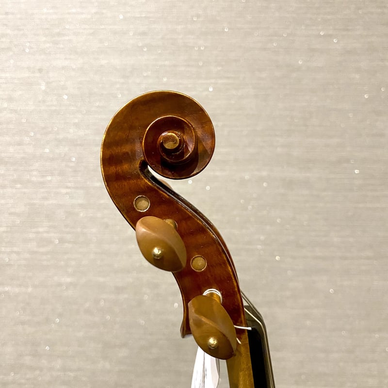 はーさん様の専用 ヴァイオリンブランケットとスペア弦ポーチのセット⭐️1/10用 EASTMAN SVL80 分数1/2バイオリンセット イーストマン