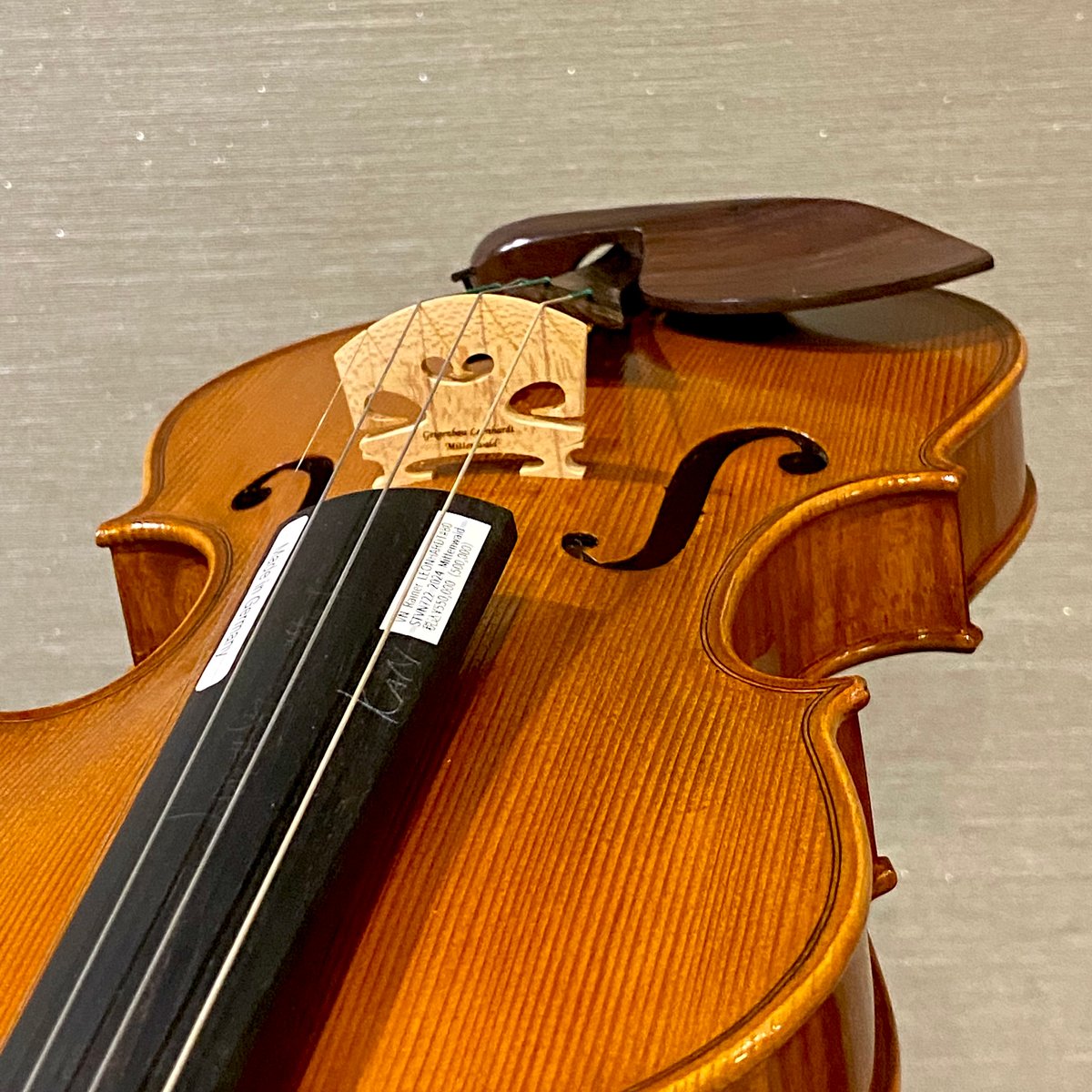LANDOLFI 1753年 (裏板一枚板)イタリア製バイオリン4/4