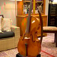 新品　grazioso チェロ弓 チェロセット】☆新入生応援☆Graziosoグラッツィオーゾ 本体