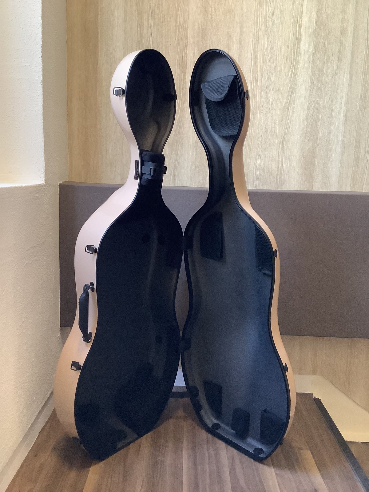希少 レア CLAUDIO BACCI カーボン チェロケース 楽器