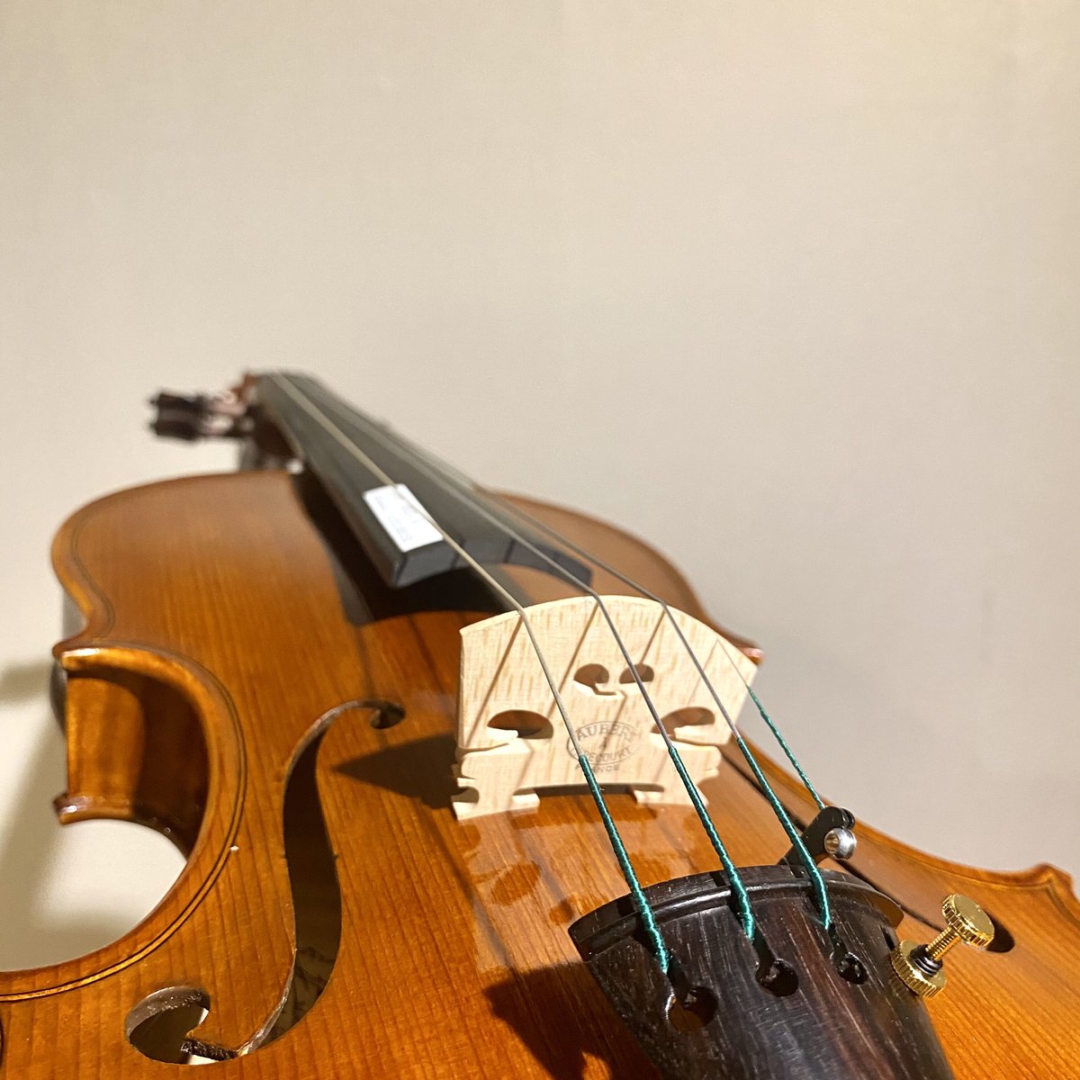 チェロ Andrei Simon 弓 ハードケース バイオリン】Andrei SIMON 【Mod