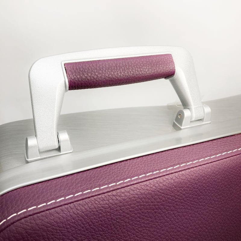 バイオリンケース bam ET2002XLVT L'ETOILE エトワール