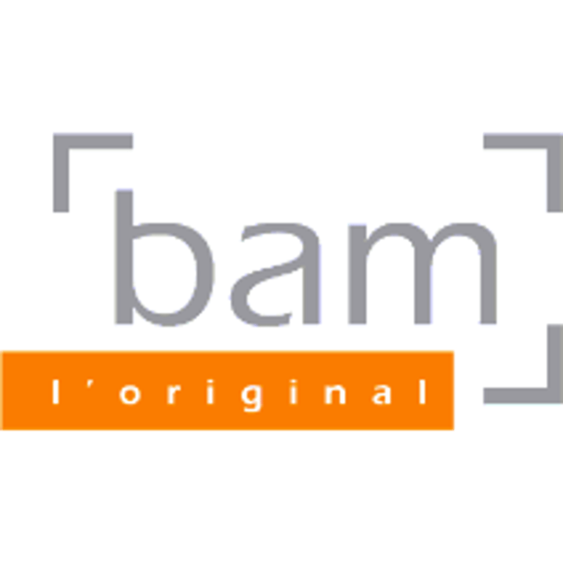 バイオリンケース bam ET2002XLC L'ETOILE エトワール/ショコラ【新バ