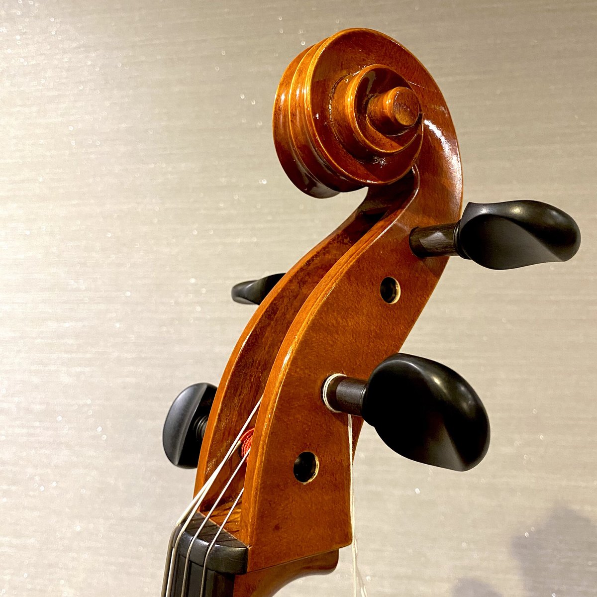 Roderich Paesold PA805J 黒澤楽器店60周年記念モデル Roderich Paesold PA805J 黒澤楽器店60周年記念モデル