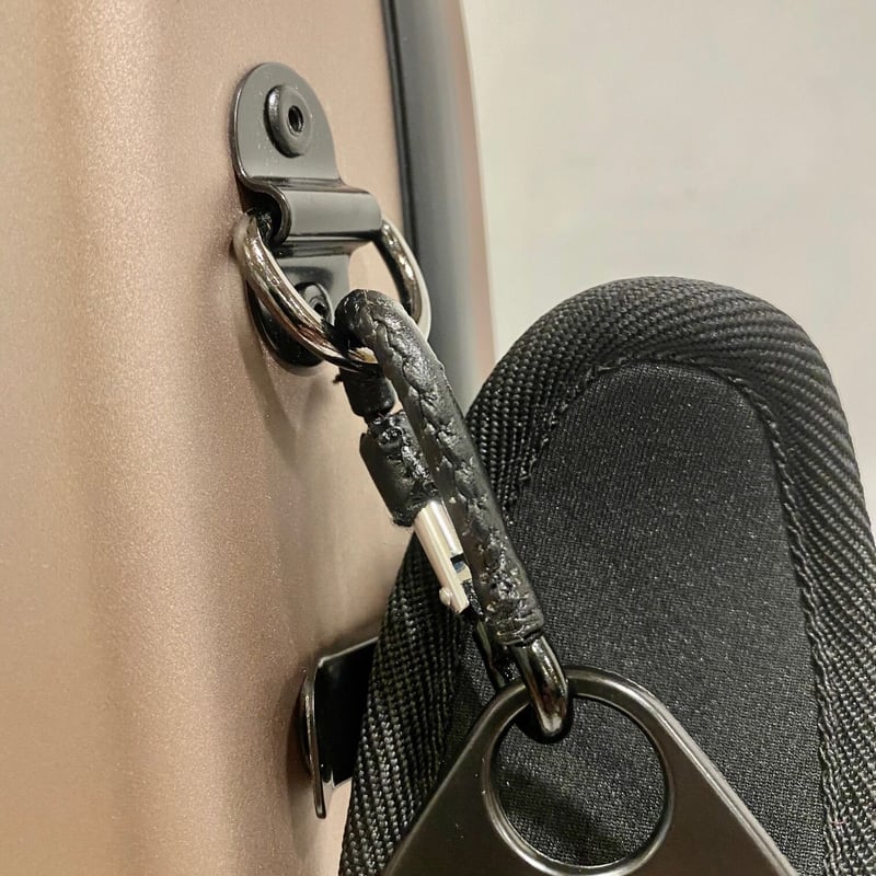 カーボンマック バイオリン CFV-2Sサテン シャンパンゴールド | 国際