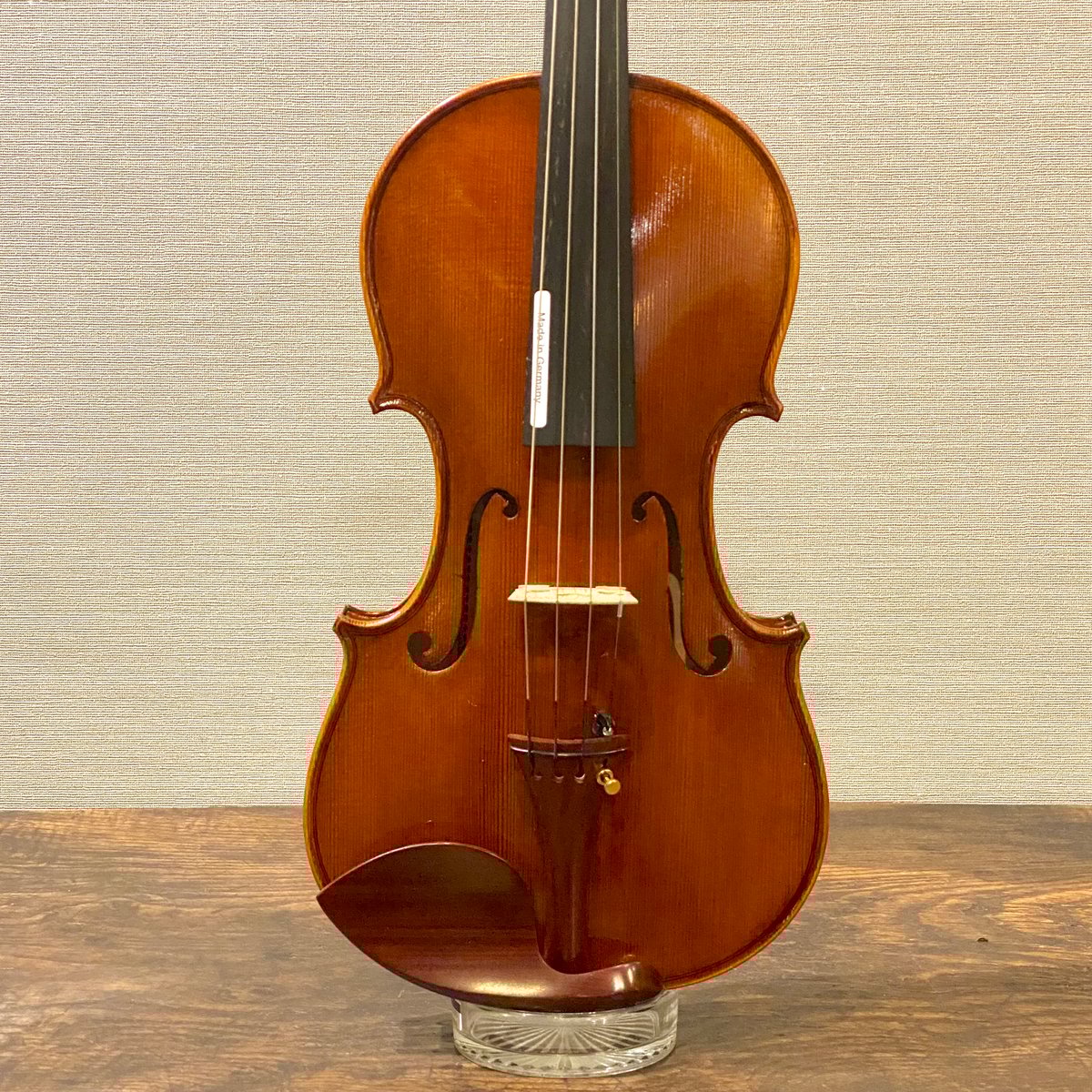 貝殻 Coluzea Juliae