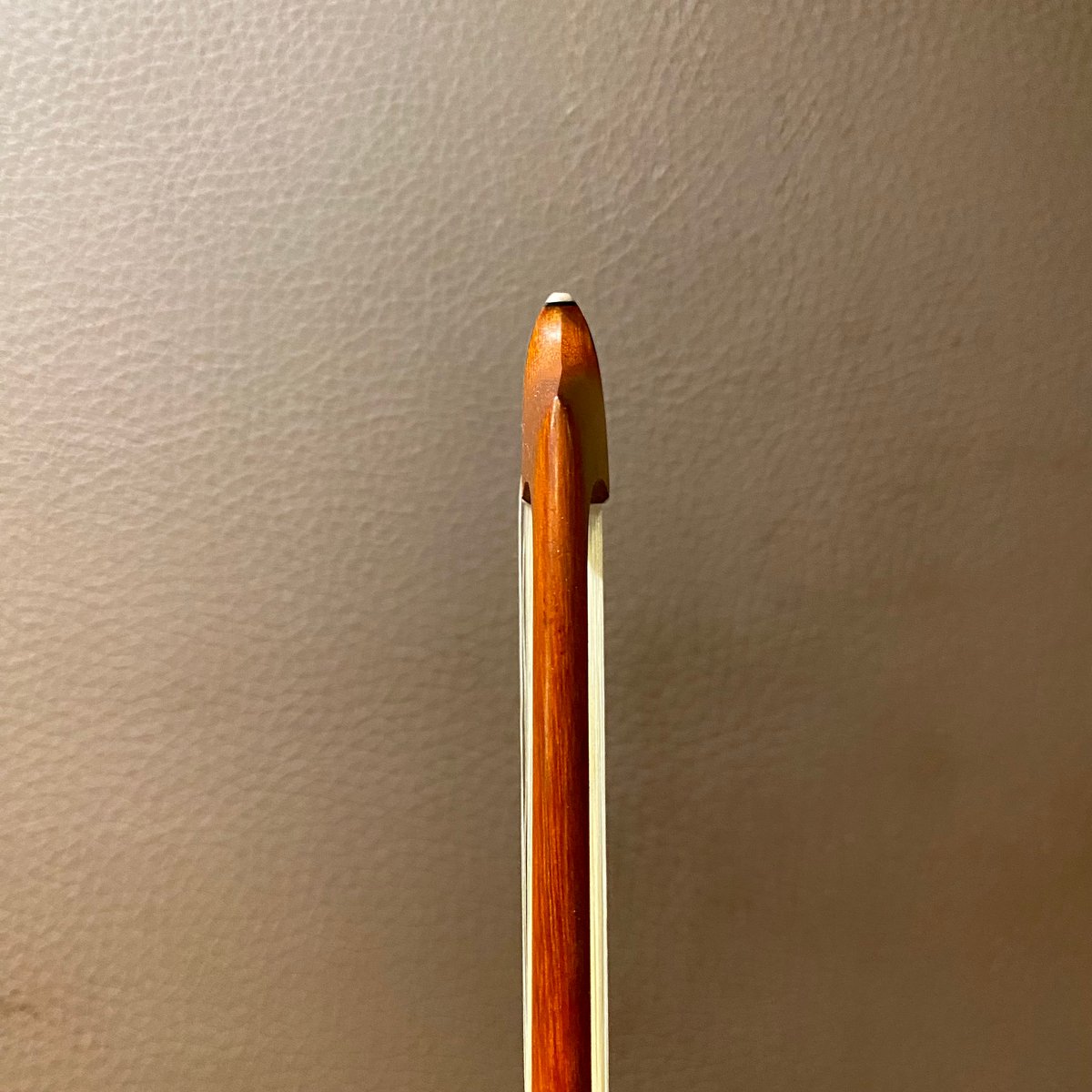 チェロ弓】SLAVIERO Filsゴールド/カーボンスライド＜SHVCS&F＞ | 国際