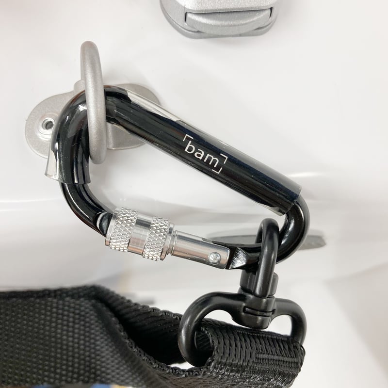 バイオリンケース bam SUP2002XLWS シュプリーム”ICE”シルバー バイオリンケース bam SUP2002XLWS シュプリーム”ICE”シルバー