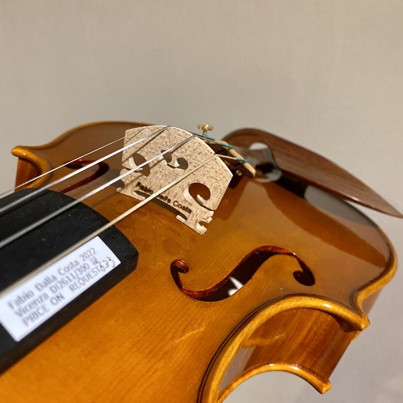 FABIO DALLA COSTA Vicenza 2022バイオリン（店頭販売のみ/オンライ