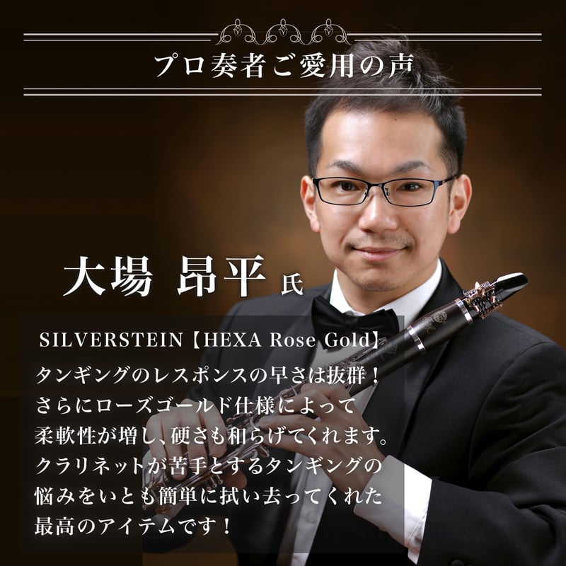 通常版】B♭クラリネット リガチャー SILVERSTEIN 第5世代【HEXA 通常版】B♭クラリネット リガチャー SILVERSTEIN 第5世代【HEXA