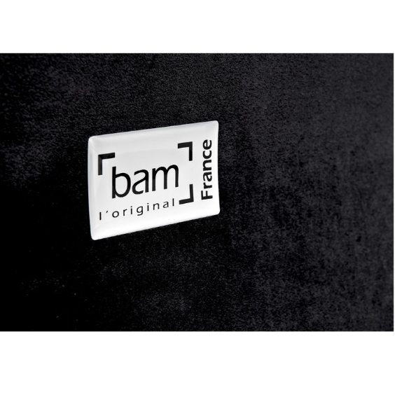 BAM バイオリンケース　エトワール　グレイジュ バイオリンケース bam ET2002XLGR L'ETOILE エトワール