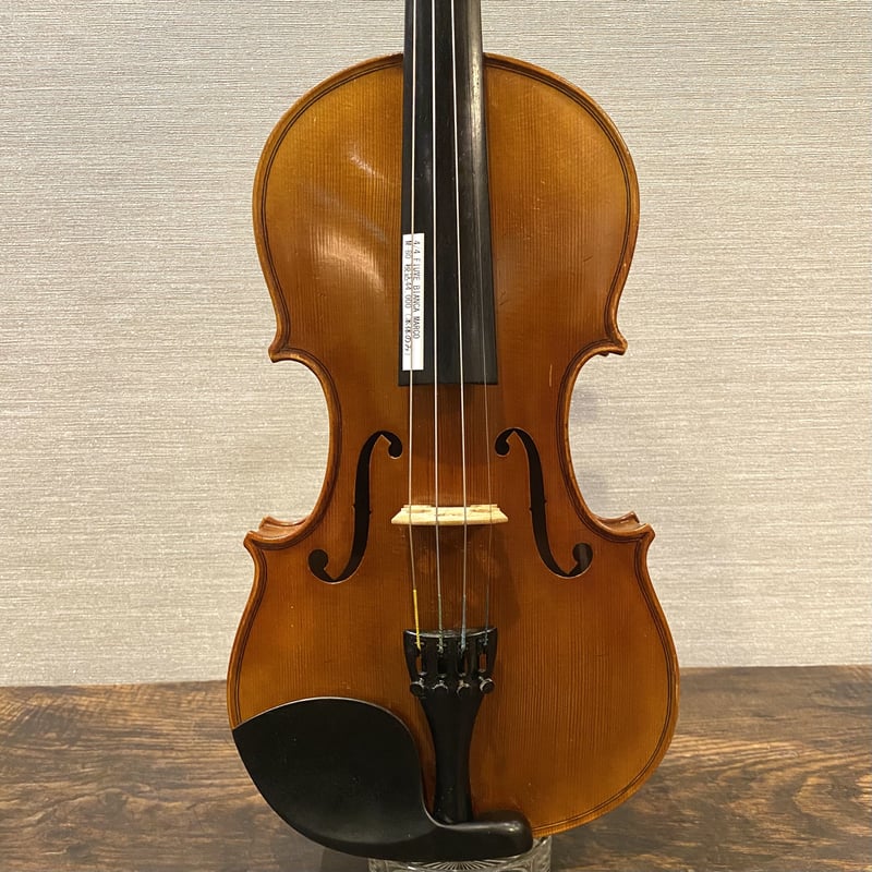 中古バイオリン】FIUME BIANCA #MARCO M-80 | 国際楽器社 オンライン