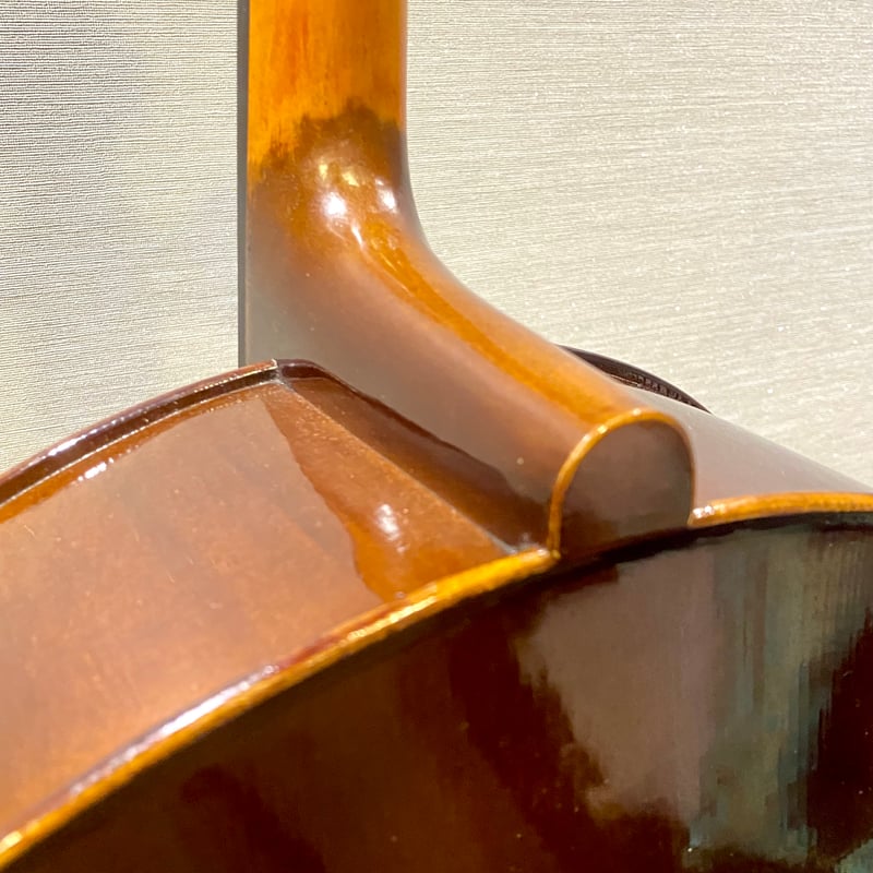 チェロセット】☆新入生応援☆Graziosoグラッツィオーゾ 本体＆弓