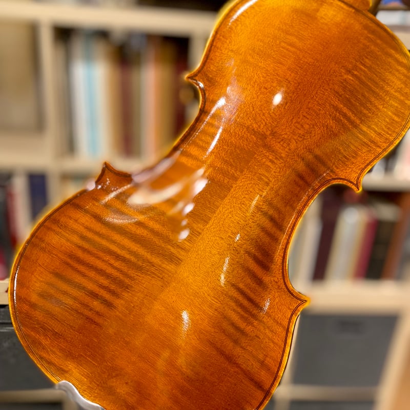 数量限定】F.Sandner#604E☆新入生応援☆バイオリンセット4/4 ケース 
