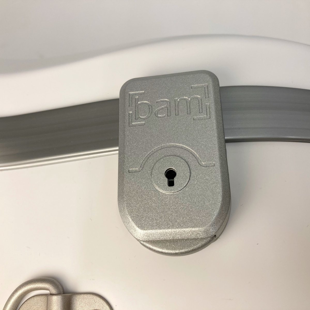 BAM バイオリン　ケース　タグ付き　ホワイト　ICE BAM バイオリン ケース タグ付き ホワイト ICE BAM バイオリン ケース