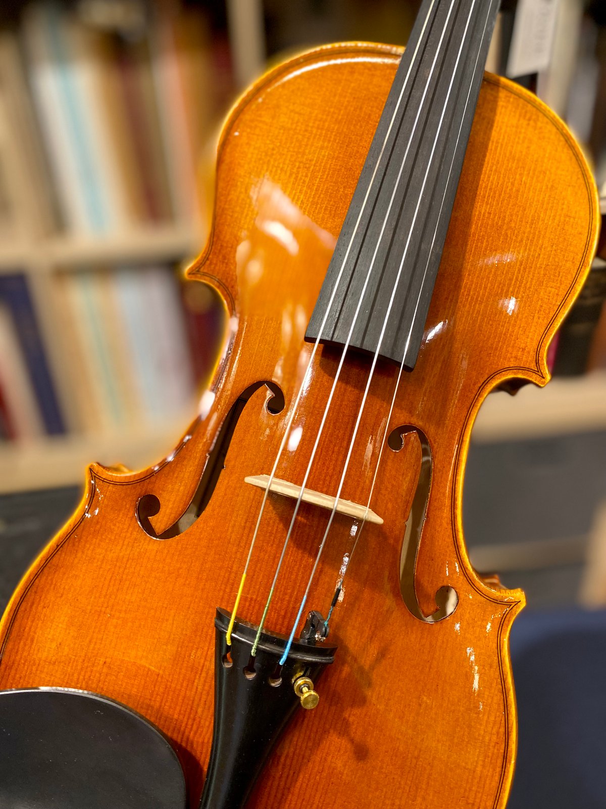 数量限定】F.Sandner#604E☆新入生応援☆バイオリンセット4/4 ケース