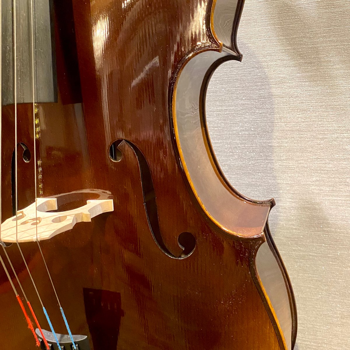 チェロセット】☆新入生応援☆Graziosoグラッツィオーゾ 本体＆弓