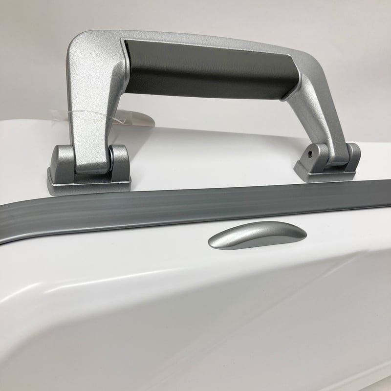 バイオリンケース bam SUP2002XLWS シュプリーム”ICE”シルバー バイオリンケース bam SUP2002XLWS シュプリーム”ICE”シルバー
