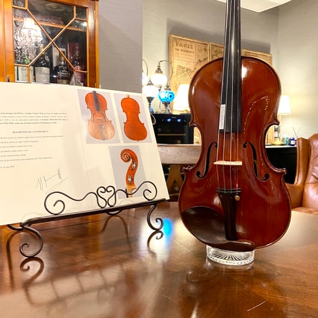 CATEGORY バイオリン4/4サイズ（楽器） | 国際楽器社 オンラインショップ