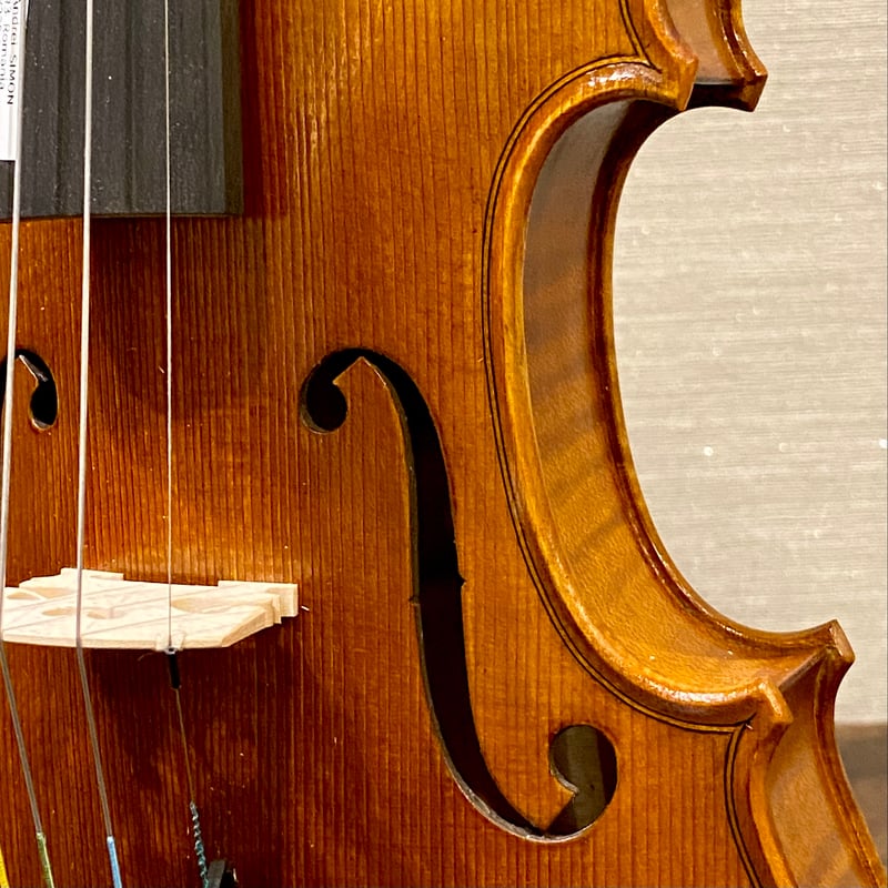チェロ　Andrei Simon 弓　ハードケース チェロ Andrei Simon 弓 ハードケース Andrei SIMON #6 VIOLIN