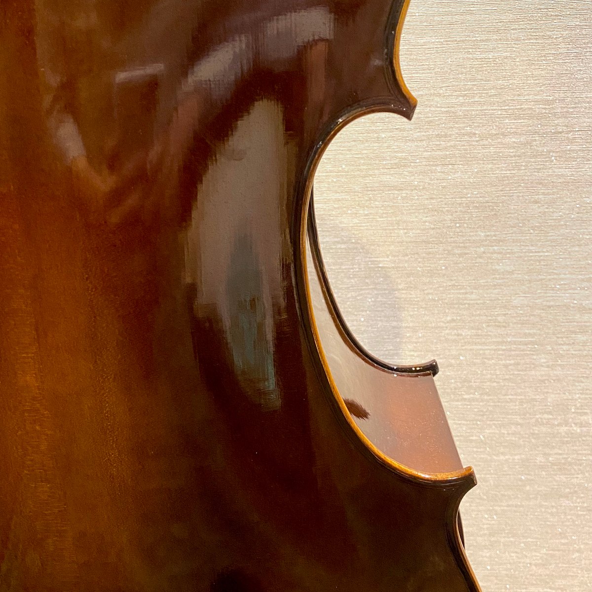 チェロセット】☆新入生応援☆Graziosoグラッツィオーゾ 本体＆弓