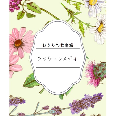 薬剤師が教える おうちの救急箱