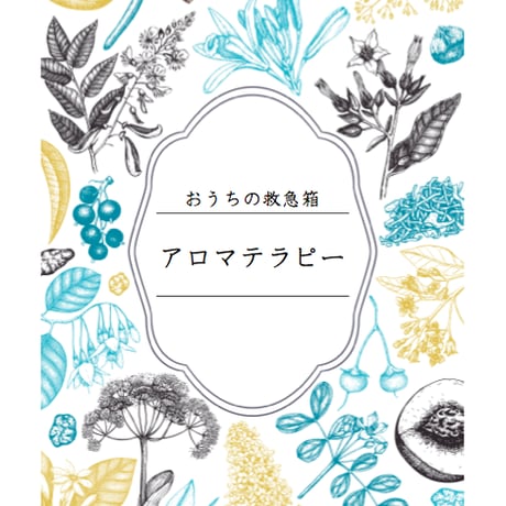 薬剤師が教える おうちの救急箱