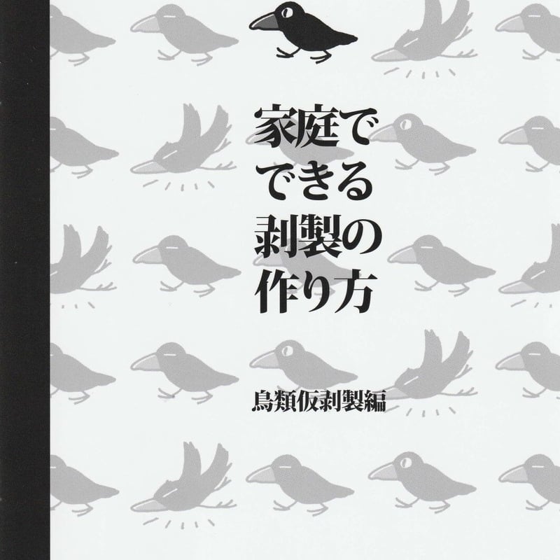 家庭でできる剥製の作り方 鳥類仮剥製編 | えぞホネ団Sapporo