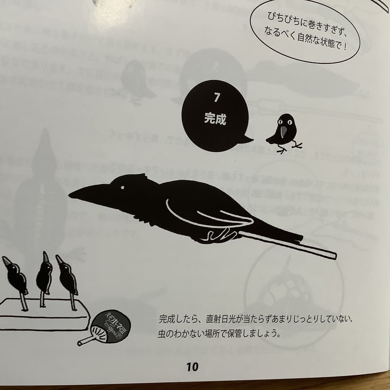 家庭でできる剥製の作り方 鳥類仮剥製編 | えぞホネ団Sapporo