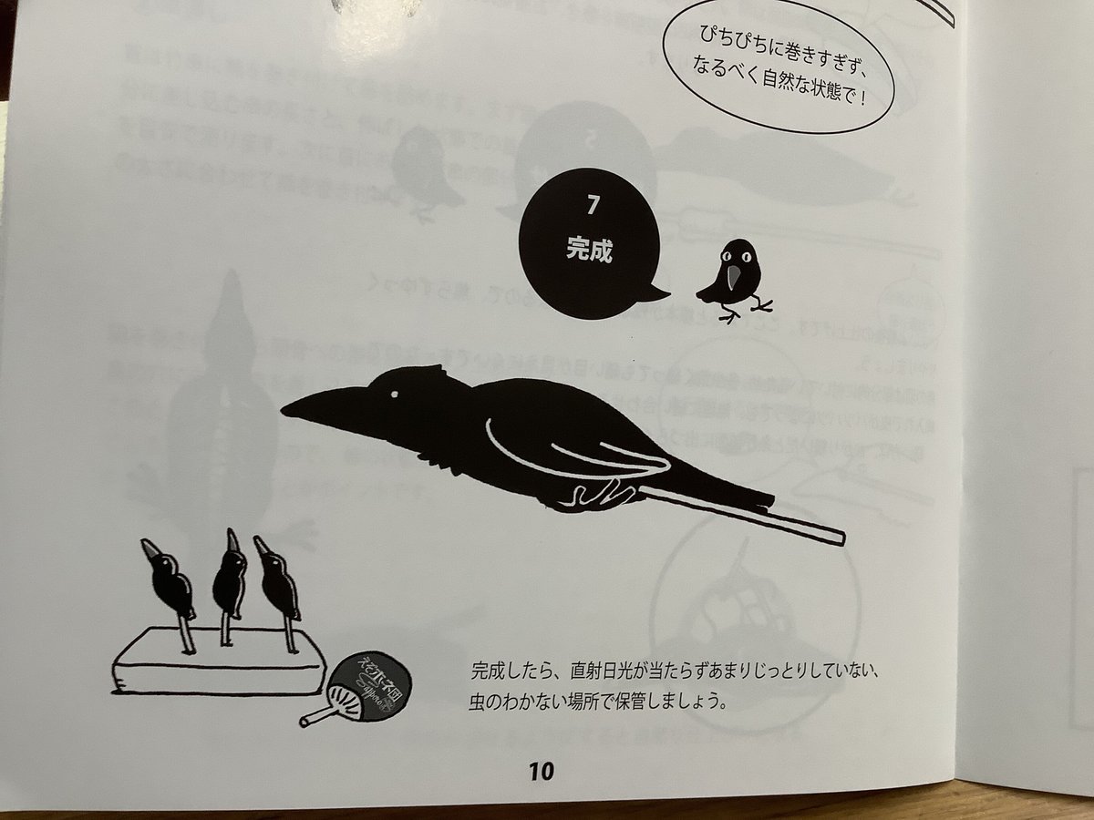 家庭でできる剥製の作り方 鳥類仮剥製編 | えぞホネ団Sapporo