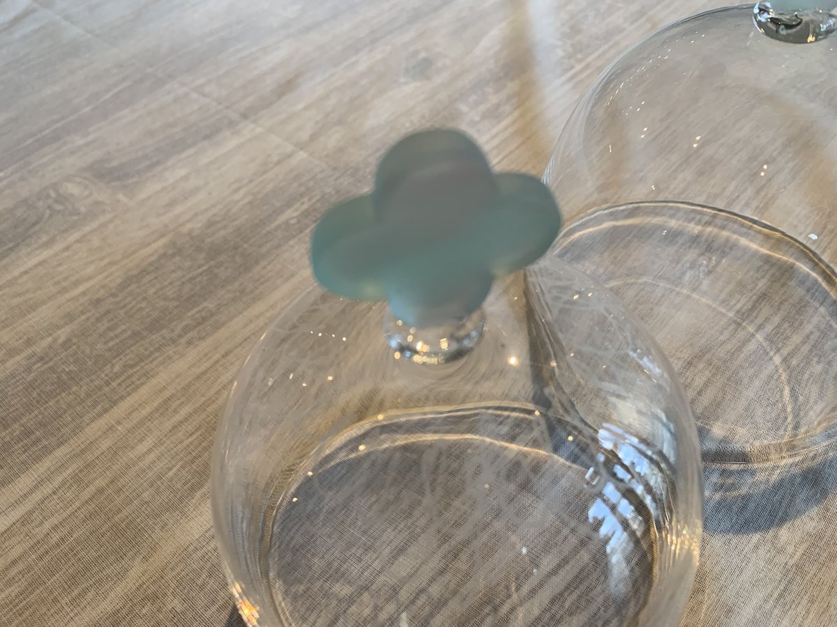 井上枝利奈*ケーキドーム*ガラスドーム*プレート*キルンワーク 井上枝利奈ガラスドーム | RINFA