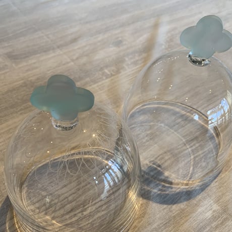 井上枝利奈 | STORES