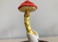 タマゴタケ