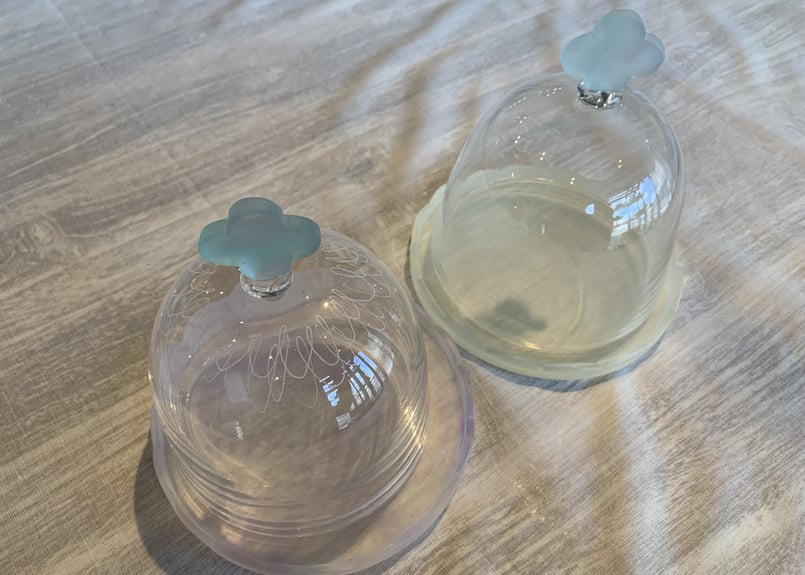 井上枝利奈ガラスドーム | RINFA