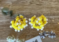 giricco  紫陽花ピアス／イヤリング　yellow