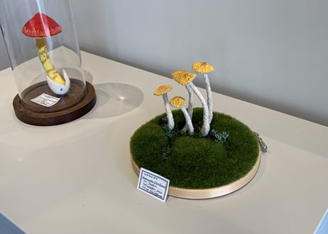 ムササビタケ