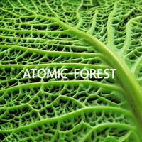 『ATOMIC FOREST』PROGRESSIVE TRACKS Vol,1 (CD)