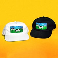 BLEACH USA BLISS FIVE PANEL HATS