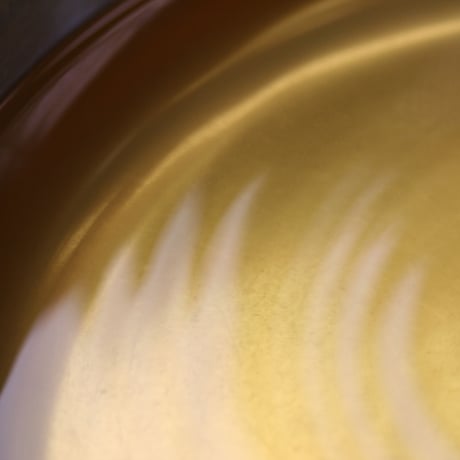 鰹本枯節　背節