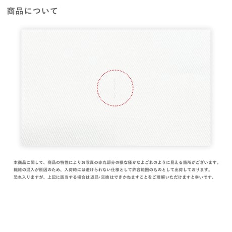ぞうめしクッション