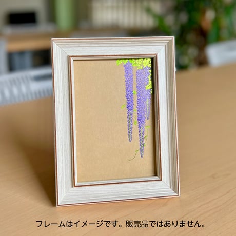 藤花 トウカ（茶）