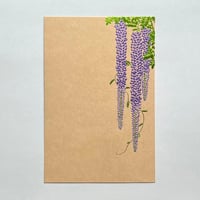 藤花 トウカ（茶）