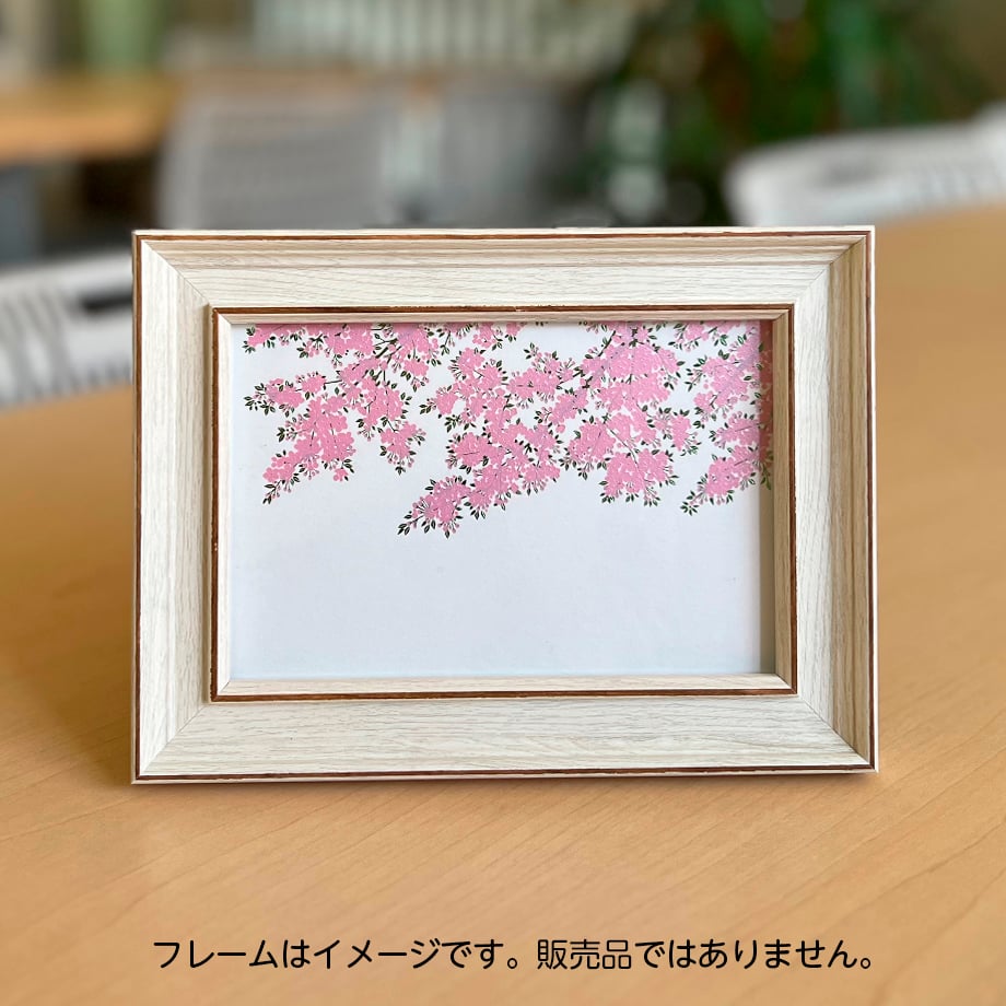 ヴァイスシュヴァルツ 桜花らんまん サクラ ARS10 楽天市場】ヴァイスシュヴァルツ “黒猫風コスチューム”木之本桜 【CCS